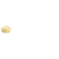 Maviento Media HDK Counselling (1)