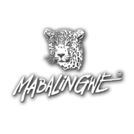 Maviento Media Mabalingwe Nature Reserve